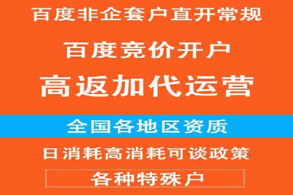 百度推广在电商行业的应用案例分析